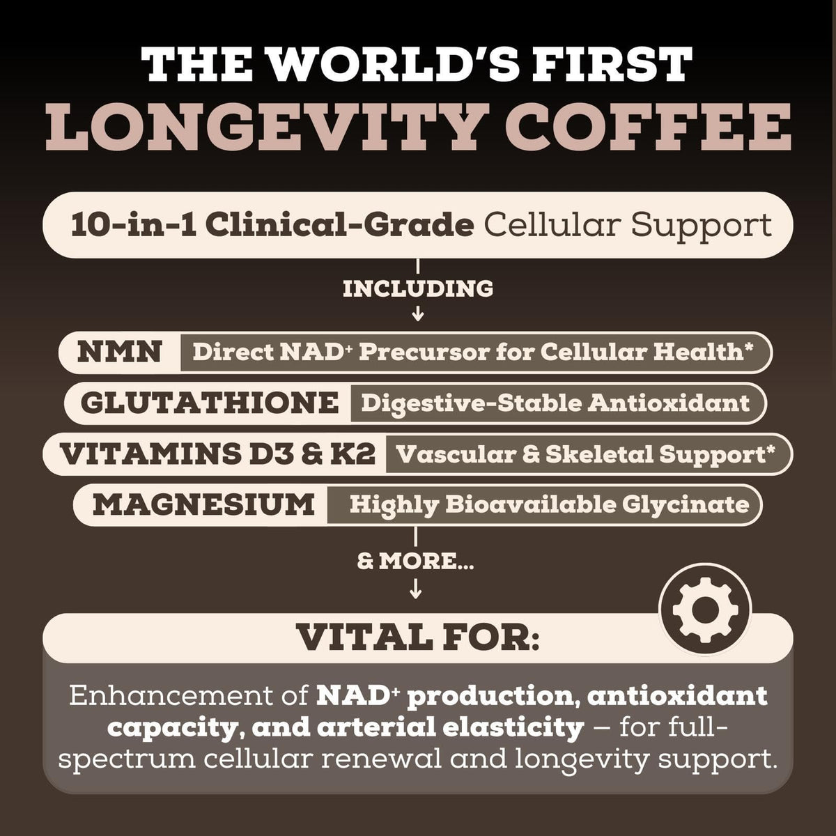 Black Forest Longevity Mix Liquid NAD+ Alternative Mocha Coffee 10-in-1 with NMN 250mg, Glutathione 250mg, TMG, Magnesium Glycinate, Vitamins D3 K2 C B12, High Polyphenol Cocoa, 30 Servings Black ForestBuy Supplements Australia