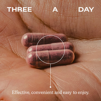 Humann SuperBeets Beet Root Capsules Quick Release 1000mg, Helps Support Nitric Oxide Production, Blood Pressure Support, Heart Health, Contains Non-GMO Beetroot Powder, Studied Antioxidants, 90 Count Humann buy supplements Au