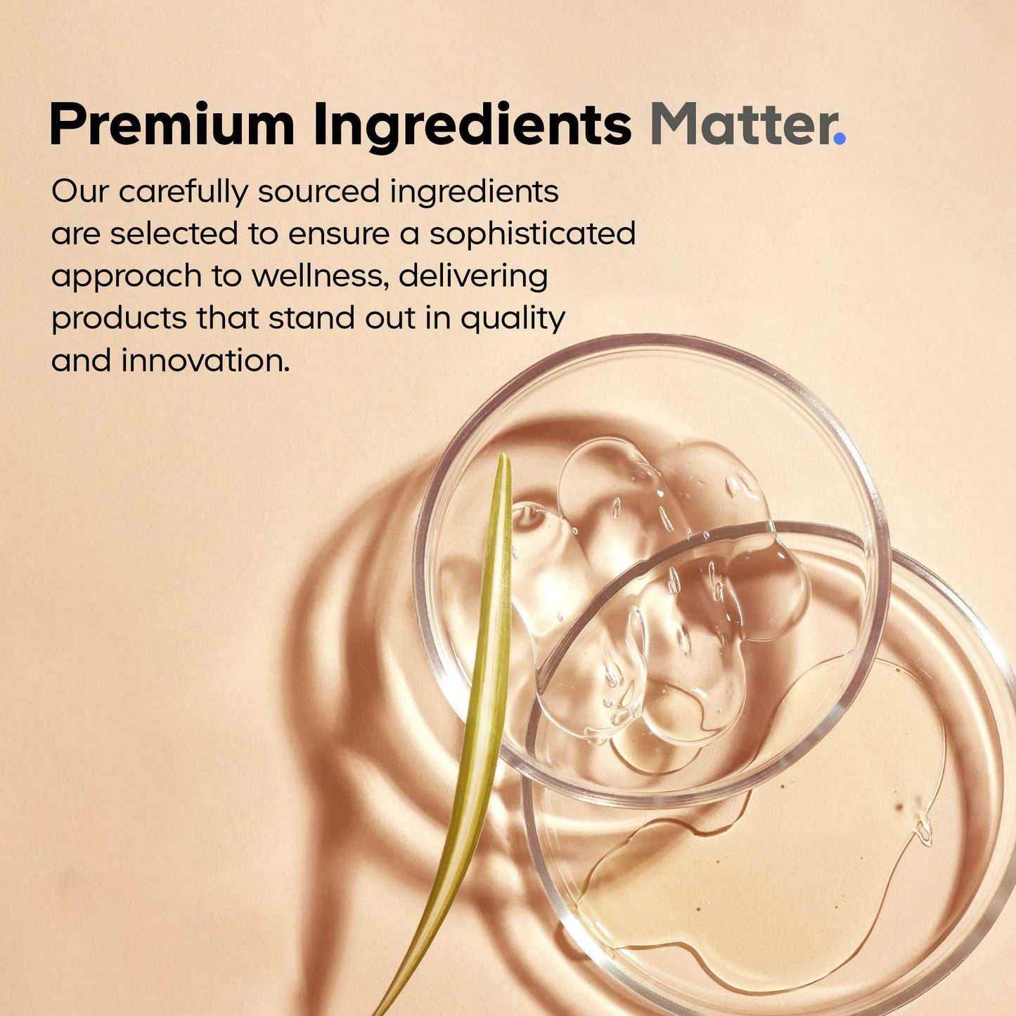 Codeage Akkermansia Muciniphila Probiotic Ultra - High-Potency 500M AFUs Akkermansia Probiotic Supplement - Enhanced Daily Probiotic & Prebiotic, Chicory Inulin - 3-Month Supply - 90 Capsules CodeageBuy Supplements Australia
