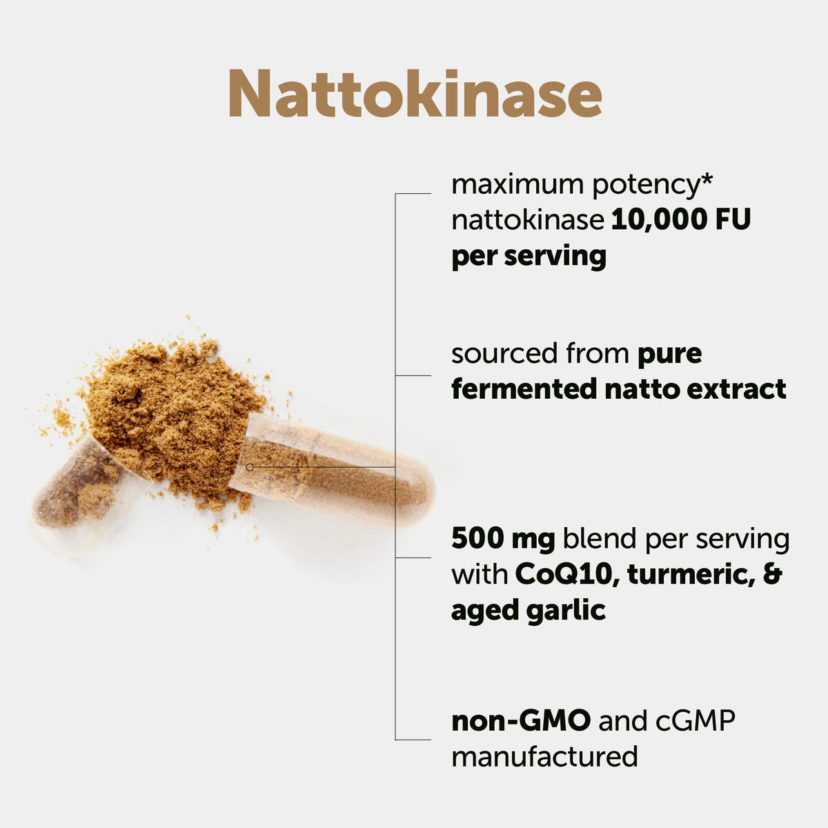 Micro Ingredients Nattokinase 10,000 FU Per Serving (Natural Natto Extract), 240 Vegetarian Capsules | with CoQ10, Turmeric, Aged Garlic & Pine Bark Extract