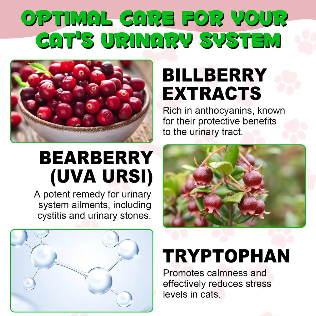 Cat Urinary Tract Infection Treatment, Cat UTI Treatment Drops Supports Bladder, Kidney Stone, Cranberry Kidney Bladder Support Supplement, Chicken Flavor, 60ml BTQAFVZTBuy Supplements Australia