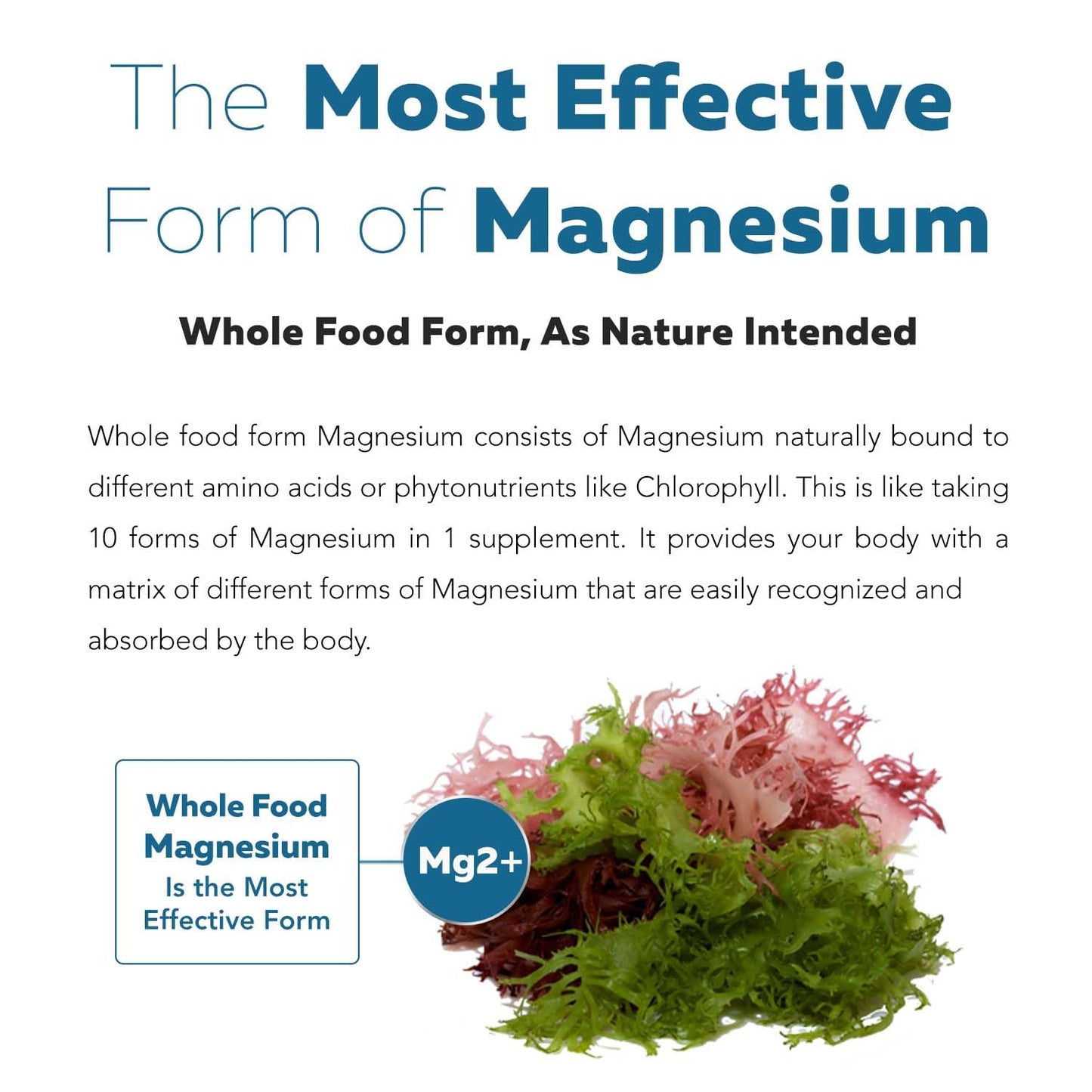 Organic Whole Food Magnesium Supplement - Plant-Based, Organic Sea Vegetable Complex - 250 mg Per Serving | Water Extracted | Gentle on Stomach | Supports Energy, Sleep, Muscle, Heart - 60 Capsules Triquetra Health buy supplements Au