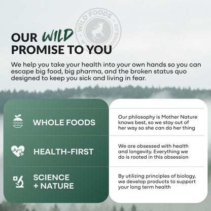 Wild Prebiotics and Probiotics with Digestive Enzymes | 20 Billion CFU - 10 Strains for Women & Men | Support Gut Health & Digestion Supplements | Non-GMO Prebiotic Fiber | 30 Capsules