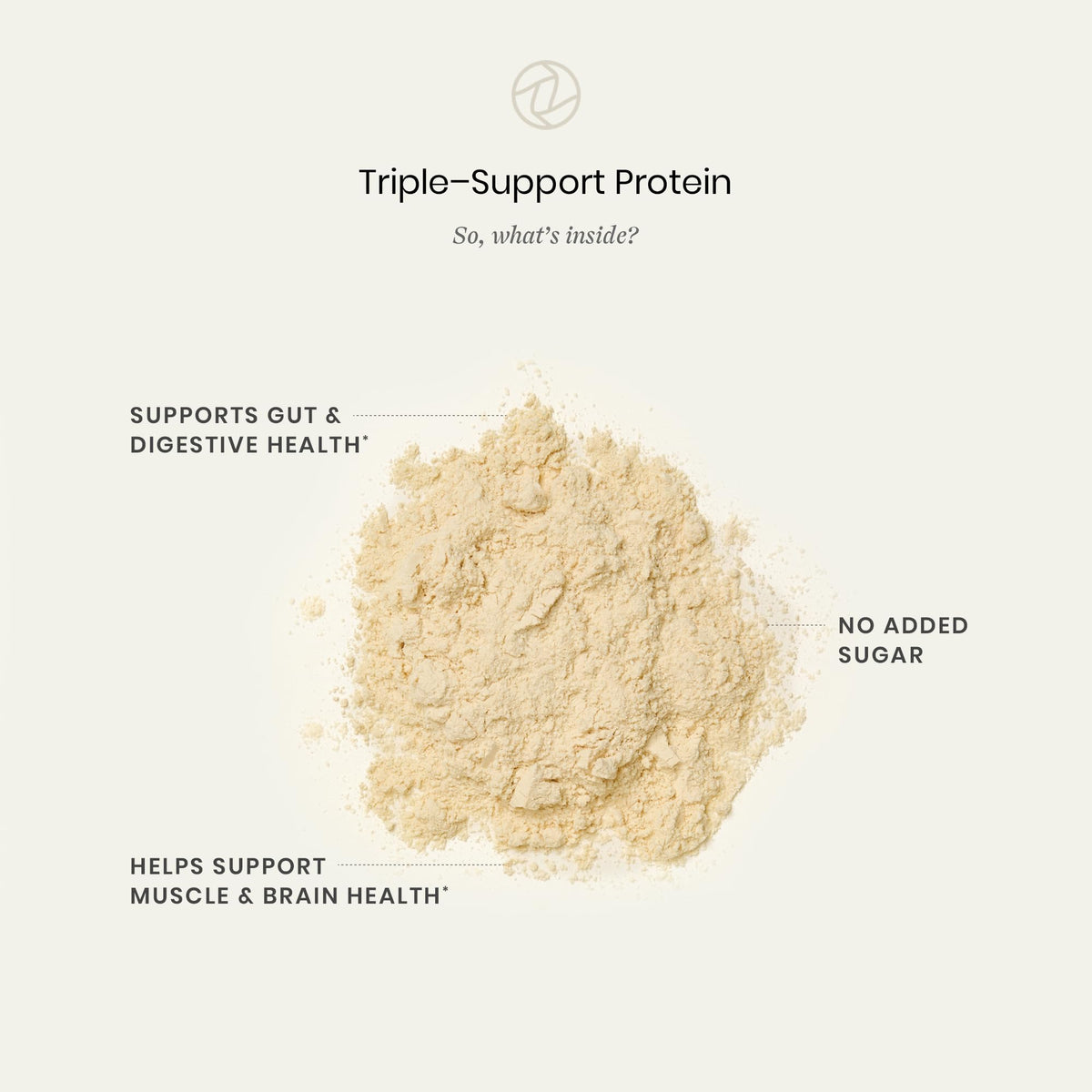 Perelel Triple-Support Plant Based Protein Powder, Creamy Vanilla, 20g Vegan Protein Powder, 3g Creatine Monohydrate, & 5g Prebiotic Fiber per Serving, Dairy Free,