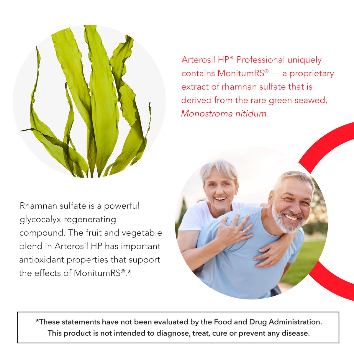 Calroy Health Sciences Arterosil HP Professional - Endothelial Glycocalyx Support - Heart Health Support - Artery Health Support - Circulation Support – MonitumRS® Rhamnan Sulfate - Monostroma Nitidum Calroy Health SciencesBuy Supplements Australia