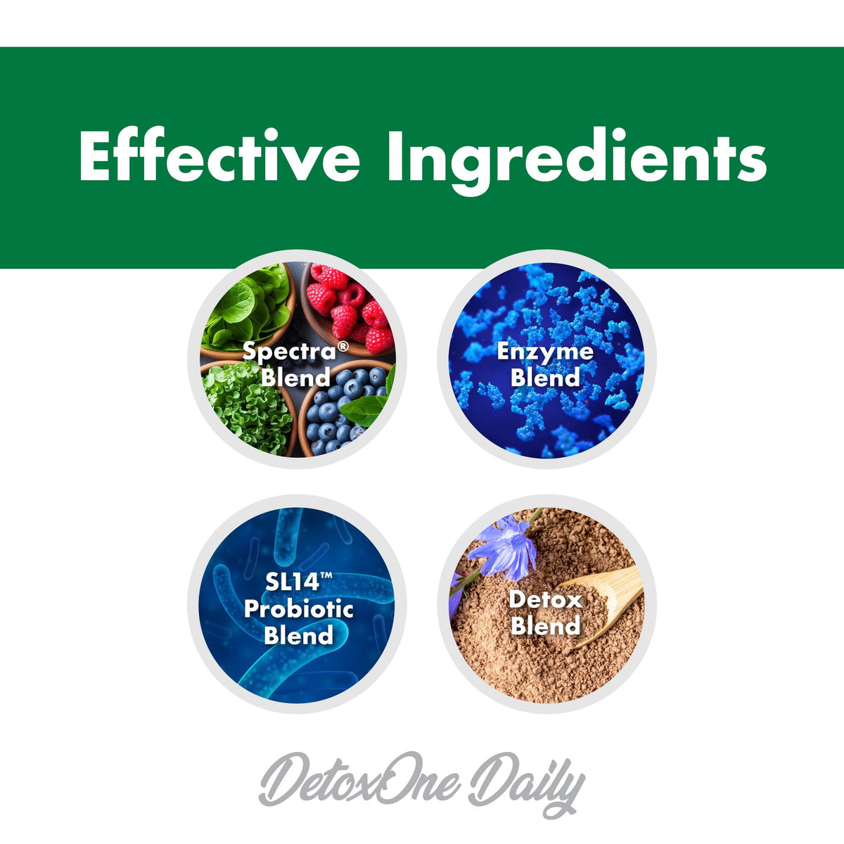DetoxOne Daily Gut Health Powder* |  Supports Normal/Healthy Digestive Function*| Promotes Detoxification*| Boost Energy & Improves Nutrient Absorption*
