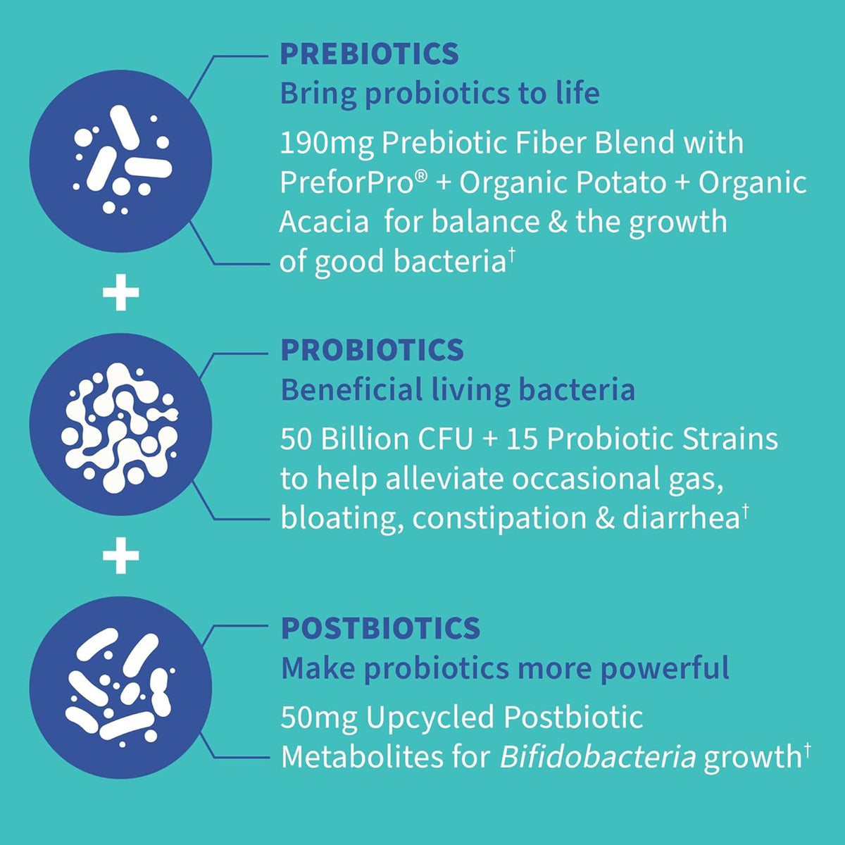 Garden of Life Dr. Formulated Pre, Post & Probiotics Gas & Bloating Once Daily 3-in-1 Complete Prebiotics, Postbiotics & Probiotics – 50 Billion CFU, Non-GMO, Gluten-Free, 30 Day Supply Garden of Life buy supplements Au