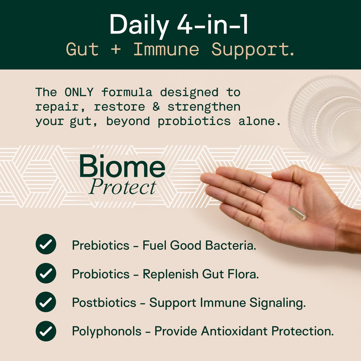 Adapt Naturals 4-in-1 Biome Protect Prebiotics, Probiotics Supplement Postbiotics & Polyphenols for Microbiome, Gut Health & Defense