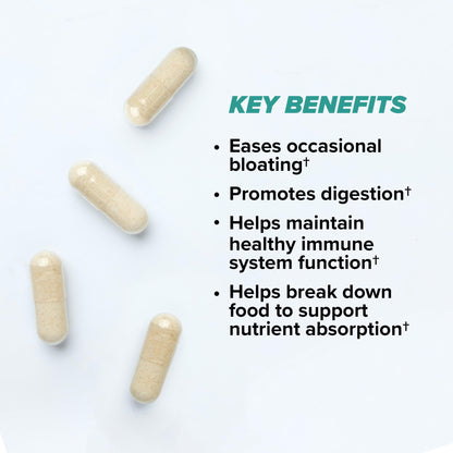 ONNIT Total Gut Health Daily Digestive Support, IGEN™ Non-GMO Tested Digestion Supplement for Women and Men with 7 Strains of Probiotics,