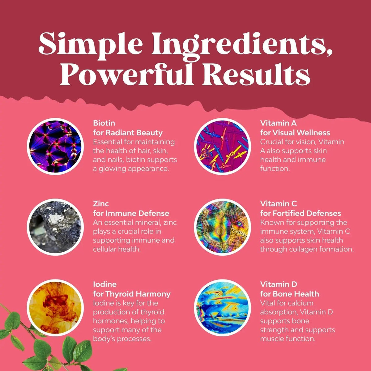 Delicious Daily Multivitamin for Women Gummies - Women's Multivitamin Gummies for Adults Energy and Immunity Natures Craft