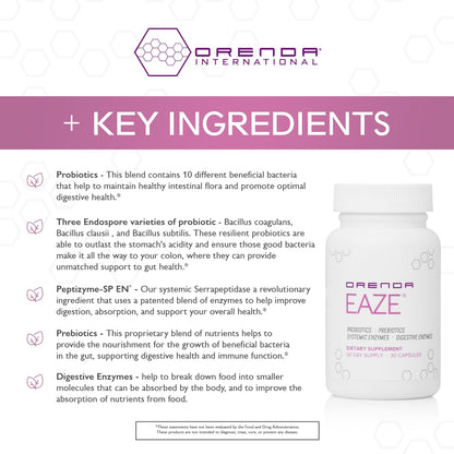 Orenda Eaze®: Gut Wellness Capsules | 6-in-1 Digestive Support with Probiotics, Endospores, Peptizyme-SP EN, Prebiotics, and Digestive Enzymes
