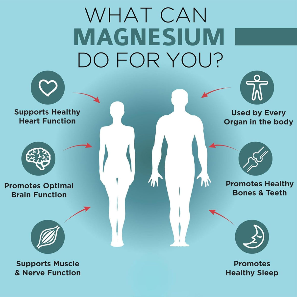 OmniBiotics Magnesium Glycinate Supplement – with 100% Pure Albion TRAACS Bisglycinate Chelate for Sleep, Muscle, Nerve & Heart Health – 120 Vegan Capsules OmniBioticsBuy Supplements Australia