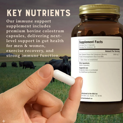 HEART & SOIL 100% Grass Fed & Finished Colostrum Supplement from Regenerative Cattle for Gut, Muscle & Immune Health – 3000mg Bovine Colostrum Capsules - Gut Health for Men & Women –180 Capsules HEART & SOIL buy supplements Au