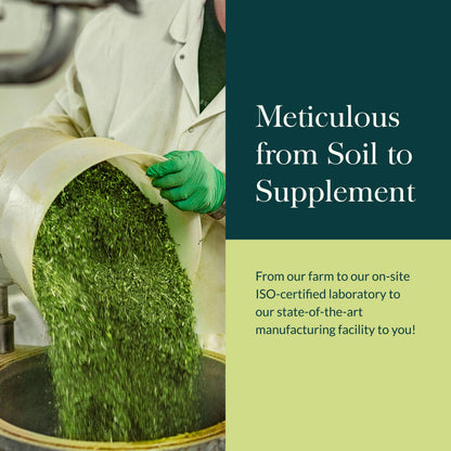 Gaia Herbs Ashwagandha Root - Stress Relief & Sleep Support Supplement - Supports Balanced Energy Levels & Positive Outlook