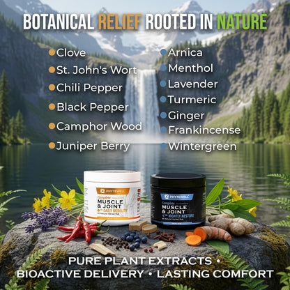 PHYTEWELL Muscle & Joint Rub Balm - Day & Night Pain Relief for Back, Knee, & Shoulder - Crafted with Arnica, Clove & Black Pepper to Support Recovery & Relaxation – Premium Non-Greasy Texture PHYTEWELLBuy Supplements Australia