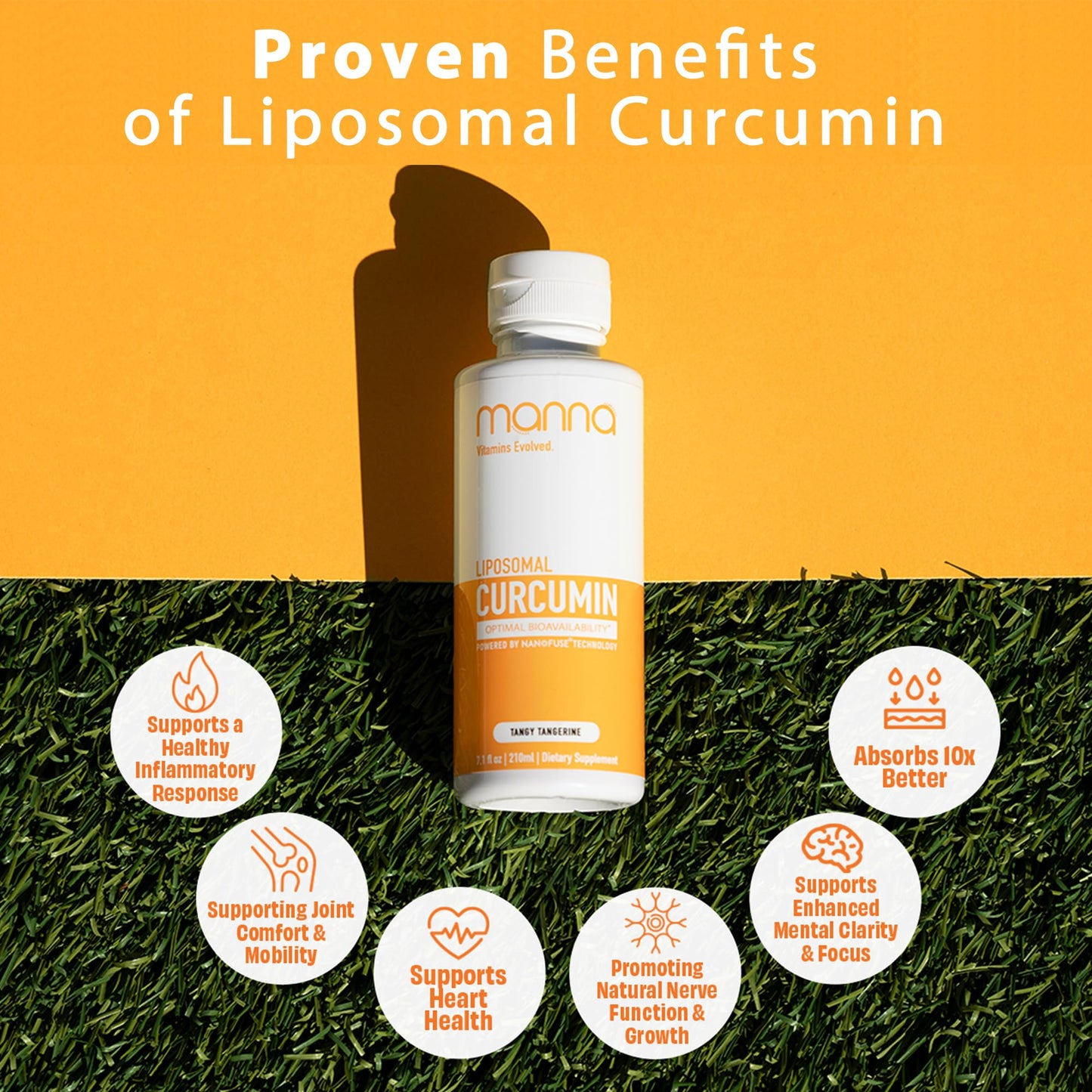 Manna Vitamins Evolved Liposomal Liquid Curcumin for Advanced Absorption Best Turmeric Supplement for Daily Joint & Immune Health Support - Vegan, Non-GMO, 95% Curcuminoids (1 Pack) Manna Vitamins Evolved buy supplements Au
