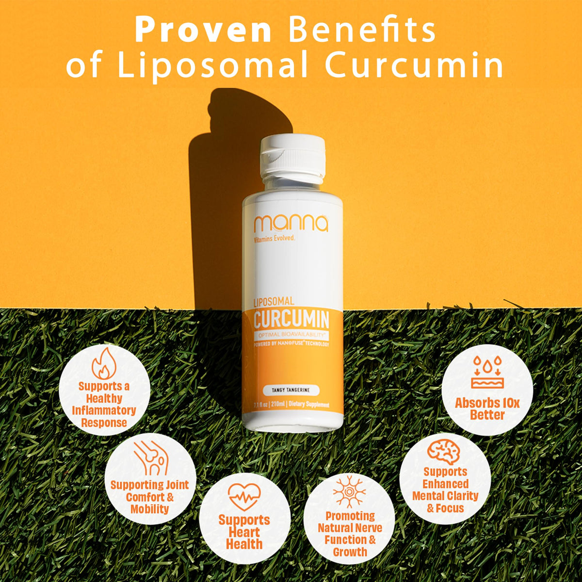 Manna Vitamins Evolved Liposomal Liquid Curcumin for Advanced Absorption Best Turmeric Supplement for Daily Joint & Immune Health Support - Vegan, Non-GMO, 95% Curcuminoids (1 Pack) Manna Vitamins Evolved buy supplements Au