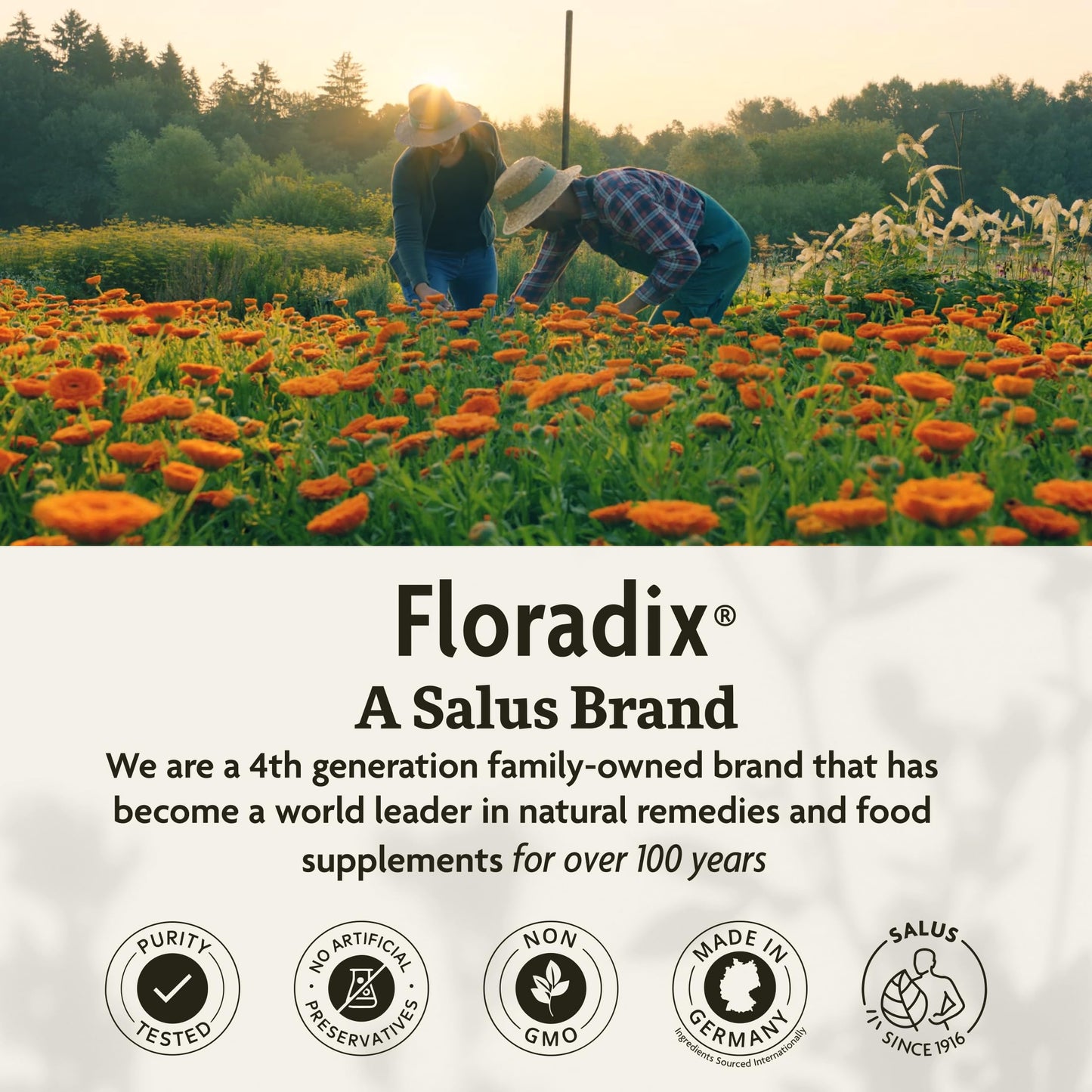 Floradix Iron & Herbs - Liquid Herbal Supplement for Energy Support - Iron Supplement with Vitamin C & Vitamin B Complex - for Men & Women - 8.5 fl oz