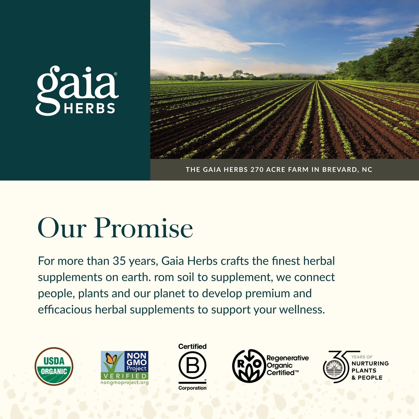 Gaia Herbs Ashwagandha Root - Stress Relief & Sleep Support Supplement - Supports Balanced Energy Levels & Positive Outlook
