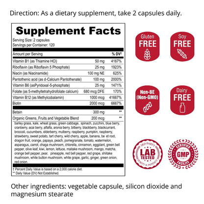UpNourish Methylated B Complex Vitamins for Women and Men, 240 Veggies Capsules - Active Pure B Complex with Organic Fruits, Vegetables, B1 Thiamine, B2 Riboflavin,