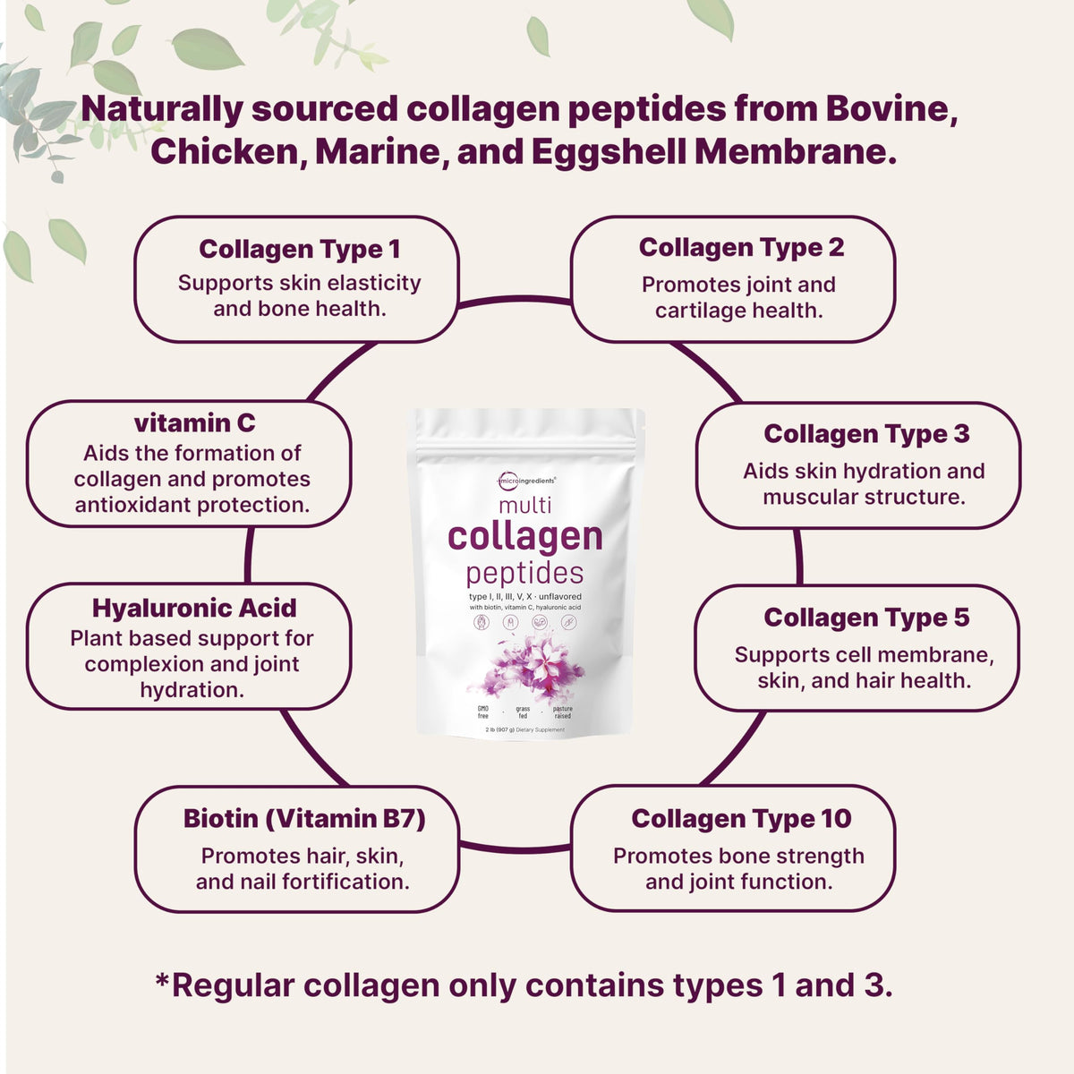 Micro Ingredients Multi Collagen Peptides Powder, 2lb – Hydrolyzed Type I,II,III,V,X with Biotin, Hyaluronic Acid, Vitamin C – Unflavored Collagen for Women & Men