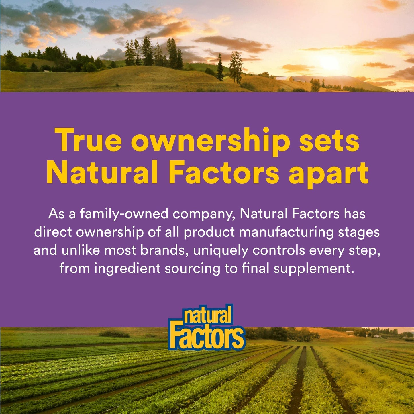Natural Factors Pharma GABA - Dietary Supplement Supports Calm Sleep & Sleep Quality - Natural, Fast-Working Supplement Aids Focus & Brain Health - 60 Chewable Tablets (60 Servings) Natural Factors buy supplements Au