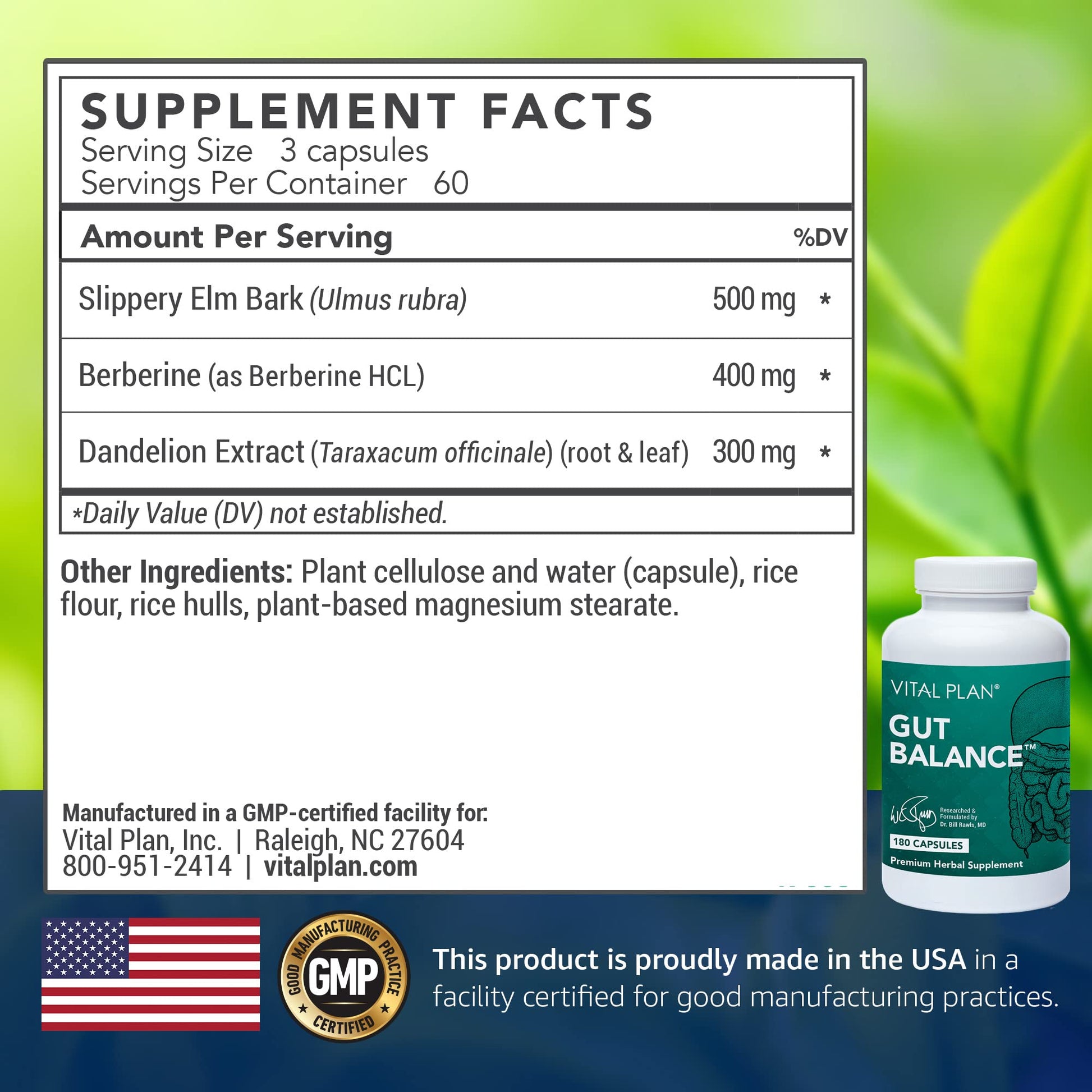 Vital Plan Gut Balance Supplement by Dr. Bill Rawls - Advanced Digestive Health Support Formula w/Clinical-Grade Slippery Elm Bark, Berberine & Dandelion Extract for Women & Men (180 Capsules) Vital Plan buy supplements Au