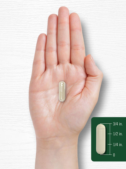 Carlyle Gymnema Sylvestre Capsules | 200 Count | Non-GMO and Gluten Free Supplement
