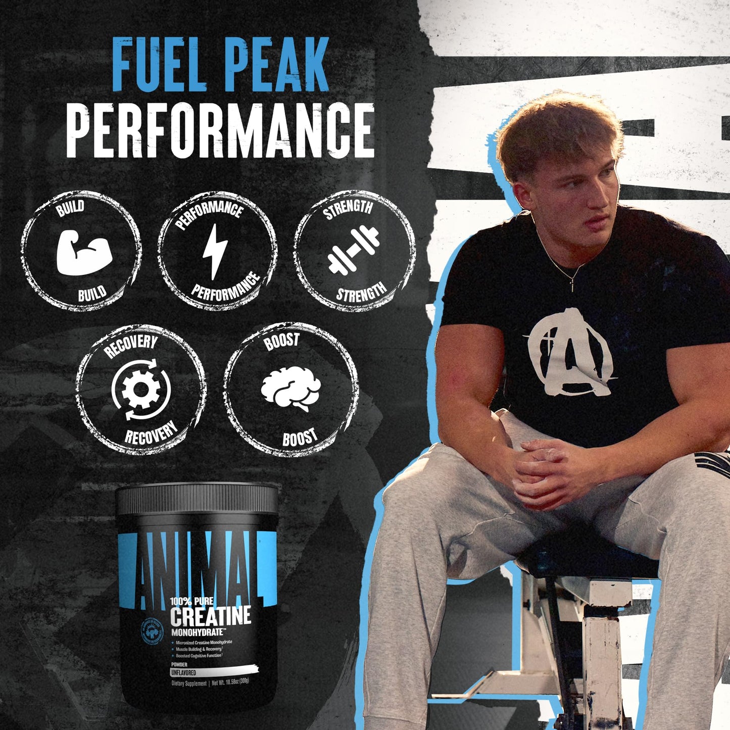 Animal Creatine Monohydrate Powder — Micronized for Muscle Recovery, Cellular Energy, and Daily Wellness — for Men and Women