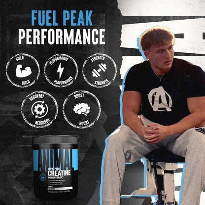 Animal Creatine Monohydrate Powder — Micronized for Muscle Recovery, Cellular Energy, and Daily Wellness — for Men and Women