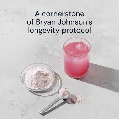Blueprint Bryan Johnson Longevity Mix - Muscle Builder & Recovery Supplement - Promotes Focus and Balanced Mood - Magnesium, Creatine, L-Theanine
