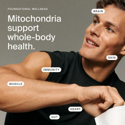 Timeline Mitopure Urolithin A Supplement Softgels - Clinically Proven Support for Healthy Aging and Cellular Renewal