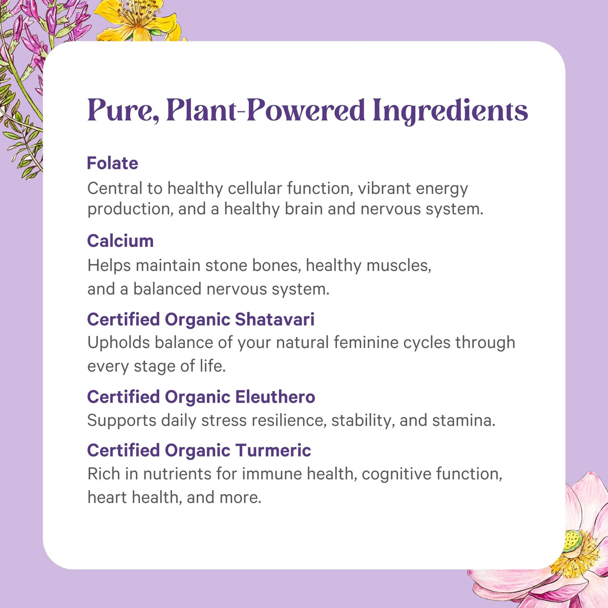 PURE SYNERGY Vita·Min·Herb for Women | Women’s Comprehensive Multivitamin Supplement | Made with Organic Whole Food Non-GMO & Vegan Ingredients | PURE SYNERGY