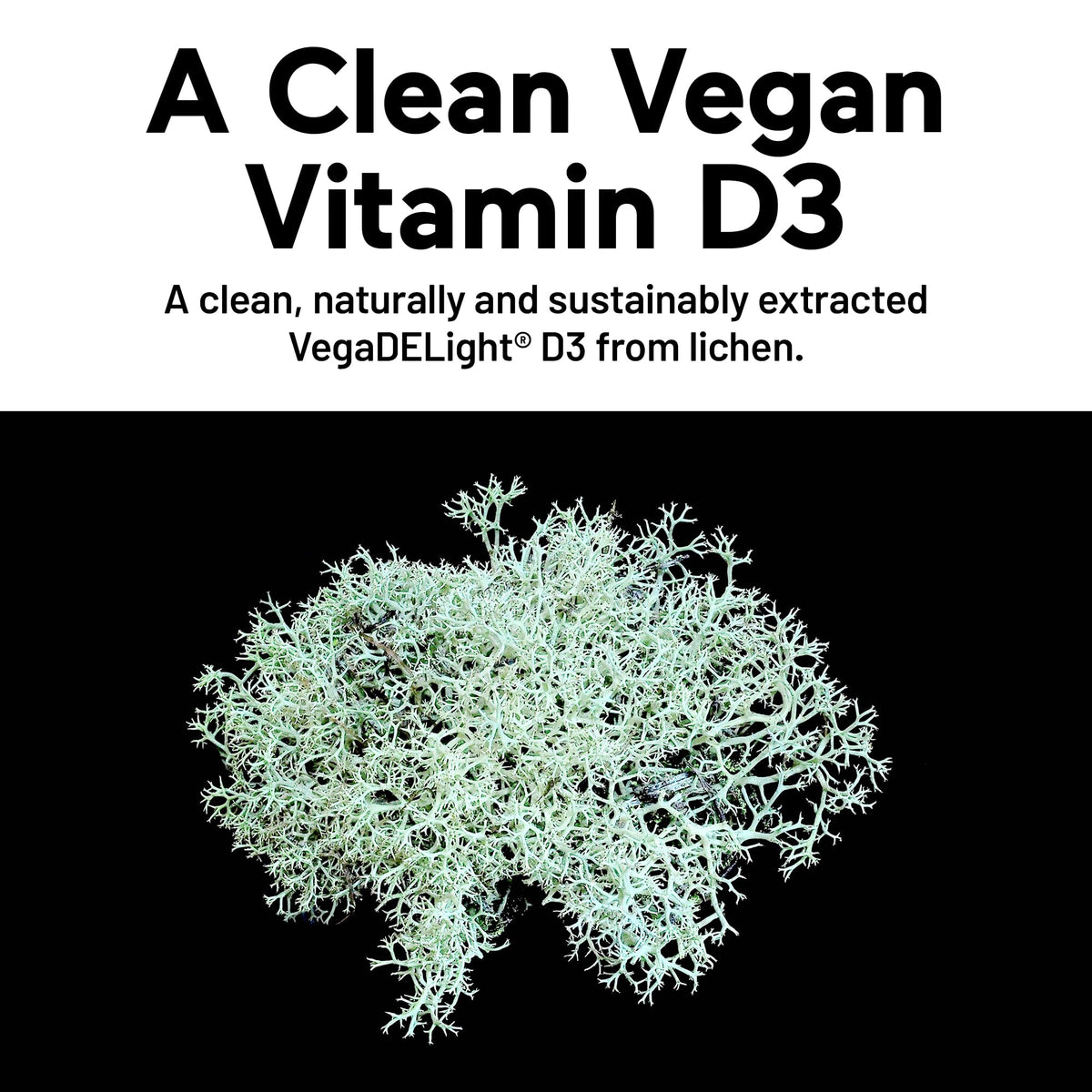 SMARTERNUTRITION Vegan Vitamin D3 5000 IU + Natural Vitamin K2 1100 mcg in Organic Coconut & Olive Oil - D3 K2 Supplement for Immune & Bone Support - 60 Softgels[30 Day Supply] SMARTERNUTRITIONBuy Supplements Australia