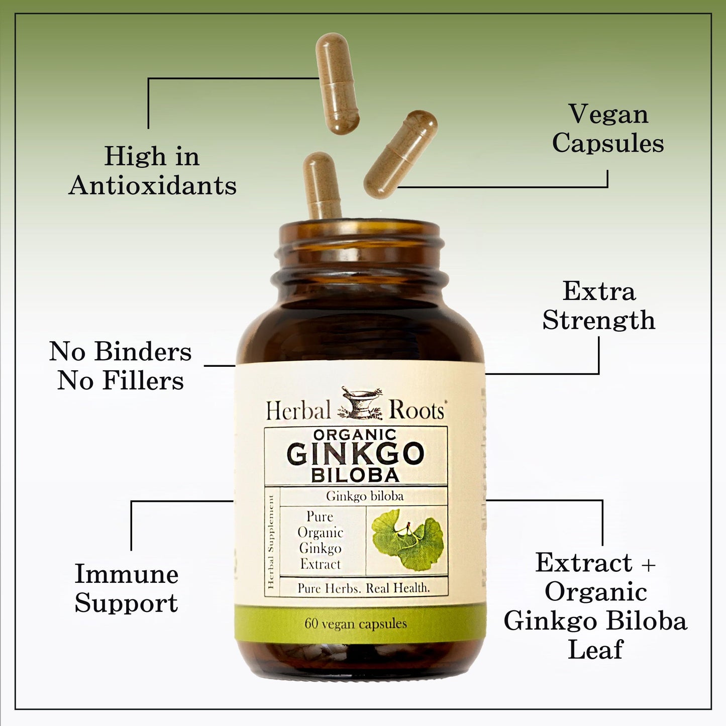 Herbal Roots Organic Ginkgo Biloba Made with Pure Organic Ginkgo Leaf and Extract - 60 Vegan Capsules