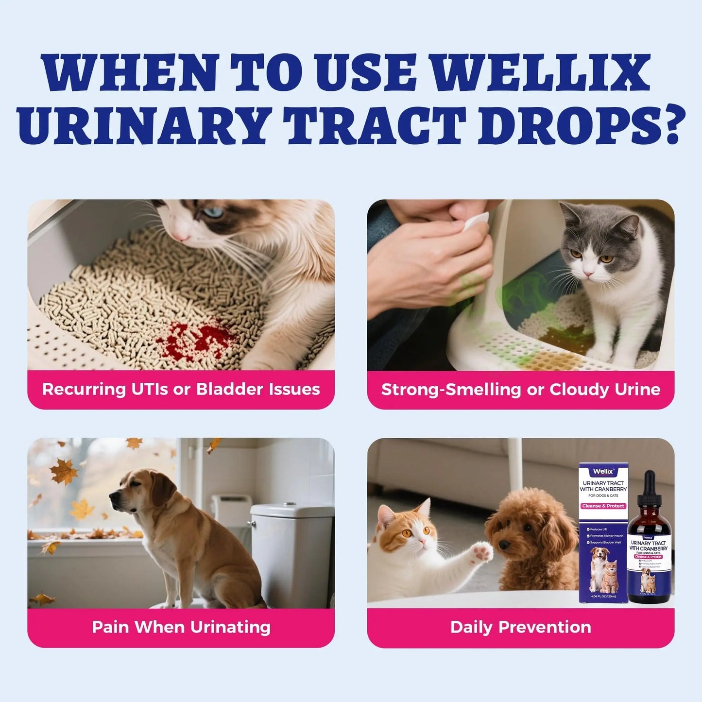 4oz Wellix Natural Cat & Dog UTI Treatment Drops,Cat & Dog Urinary Tract Infection Treatment - Cranberry & D-Mannose for Dogs & Cats - Kidney Health Supplement WellixBuy Supplements Australia