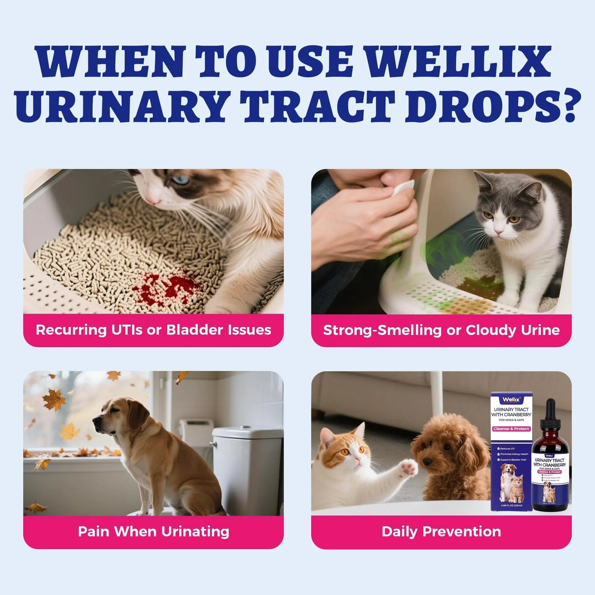4oz Wellix Natural Cat & Dog UTI Treatment Drops,Cat & Dog Urinary Tract Infection Treatment - Cranberry & D-Mannose for Dogs & Cats - Kidney Health Supplement WellixBuy Supplements Australia
