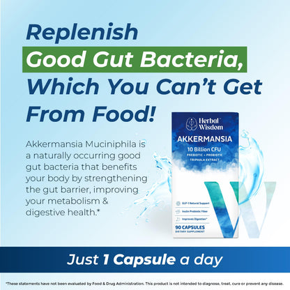 Herbal Wisdom Akkermansia Probiotic 10 Billion CFU - Advanced Support, Probiotic+Prebiotic | for Gut & Metabolism Support - No Bloating | with Inulin & Triphala