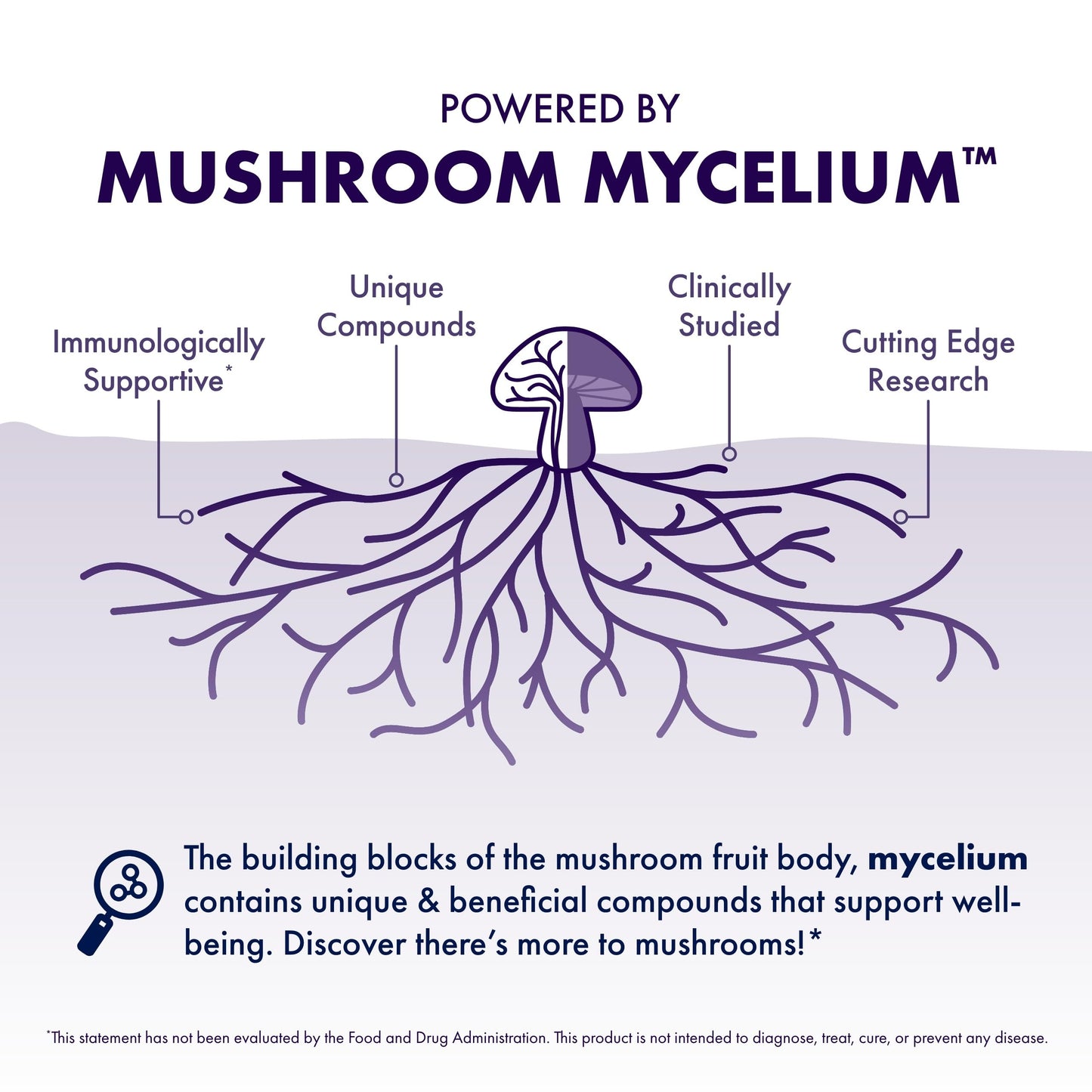 Host Defense Mushrooms Lion's Mane - Supplement Capsules for Brain Health Support - Mushroom Support for Focus & Memory Function