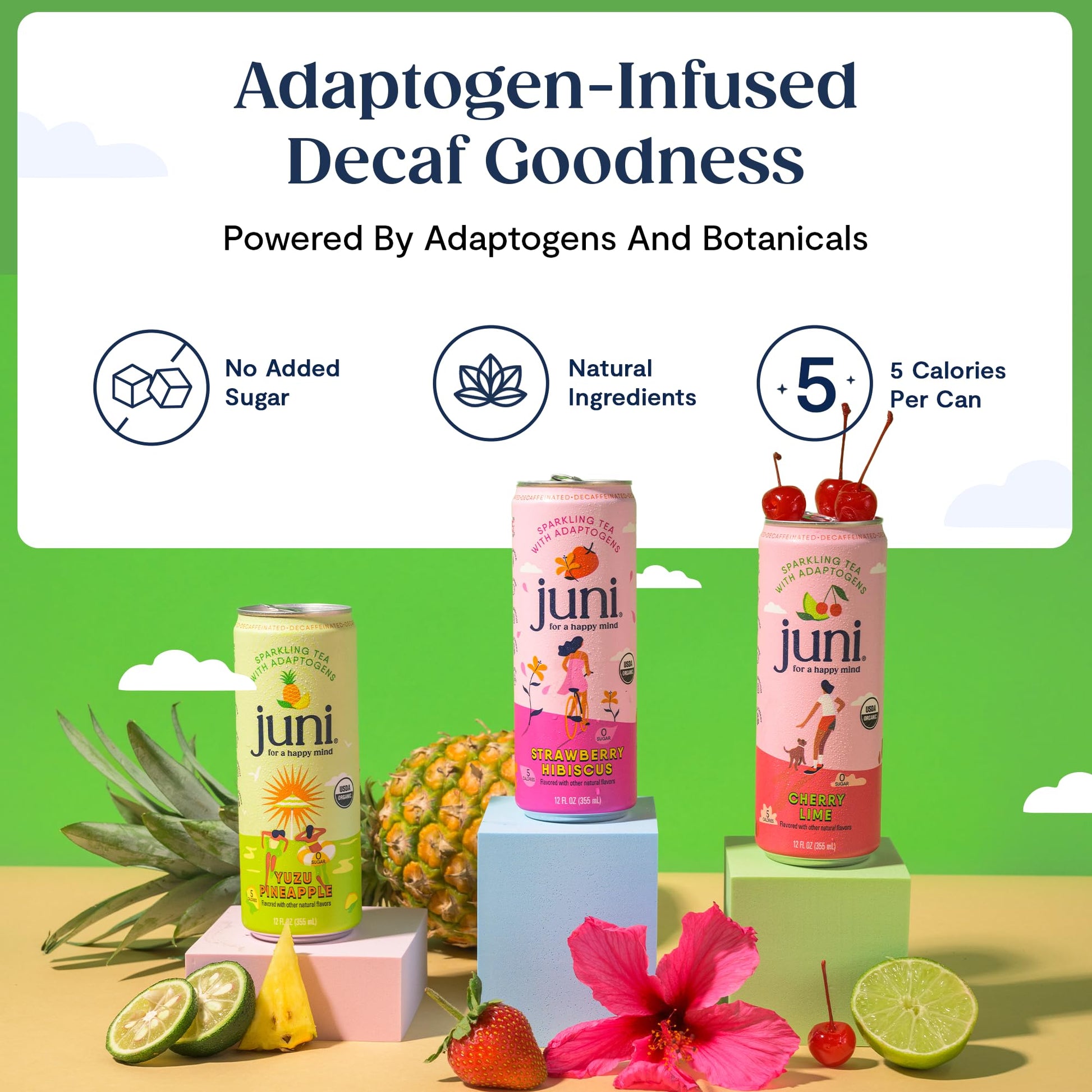 Juni Sparkling Adaptogen Drink with Ashwagandha, Lion’s Mane & Reishi Mushrooms | Green Tea for Focus, Zero Sugar, 5 Calories | Decaffeinated, Non Alcoholic Drinks - Strawberry Hibiscus 12 pack JUNI buy supplements Au