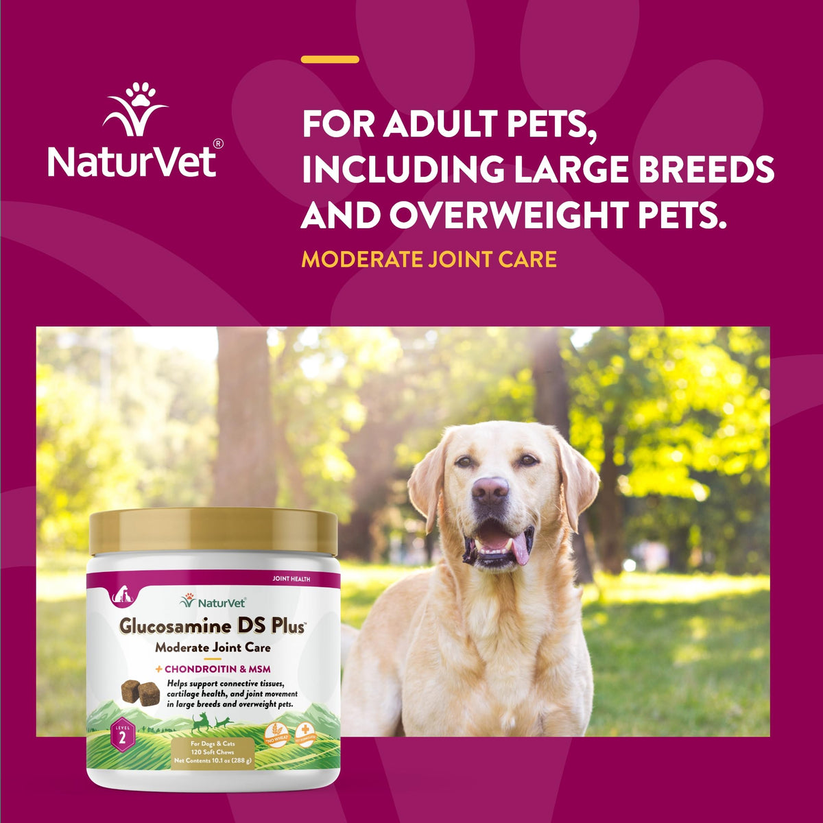 NaturVet – Glucosamine DS Plus - Level 2 Moderate Care – Supports Healthy Hip & Joint Function – Enhanced with Glucosamine, MSM & Chondroitin – for Dogs & Cats–120 Soft Chews NaturVetBuy Supplements Australia