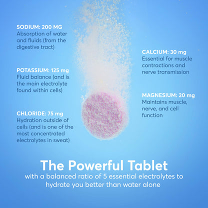 Nuun Zero Sugar Hydration Electrolyte Tablets - Sodium, Potassium, Chloride, Calcium, Magnesium, Light & Delicious Fruit Flavors, No Sugar, Gluten Free, Vegan,