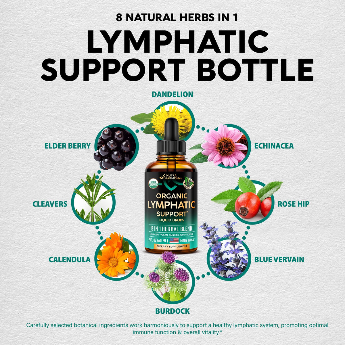 USDA Organic Lymphatic Drainage Supplement - Echinacea | Elderberry | Dandelion | Rosehip | Cleavers | Calendula | Burdock - Made in USA - Lymph System Drops - Immune Support, Cleanse & Detox, 2 fl oz NUTRAHARMONY buy supplements Au
