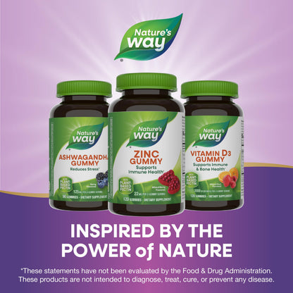 Nature's Way Zinc Gummies, Adult & Kids 9+ Immune Support Gummies*, 100% Daily Value per Serving, Mixed Berry Flavor, 120 Chews
