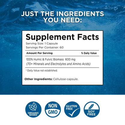 Beam Minerals Complete Multi-Mineral Capsules | Electro-Boost Plant-Based Electrolytes and Micronutrients for Men and Women | Help to Boost Immunity, Support Gut Health