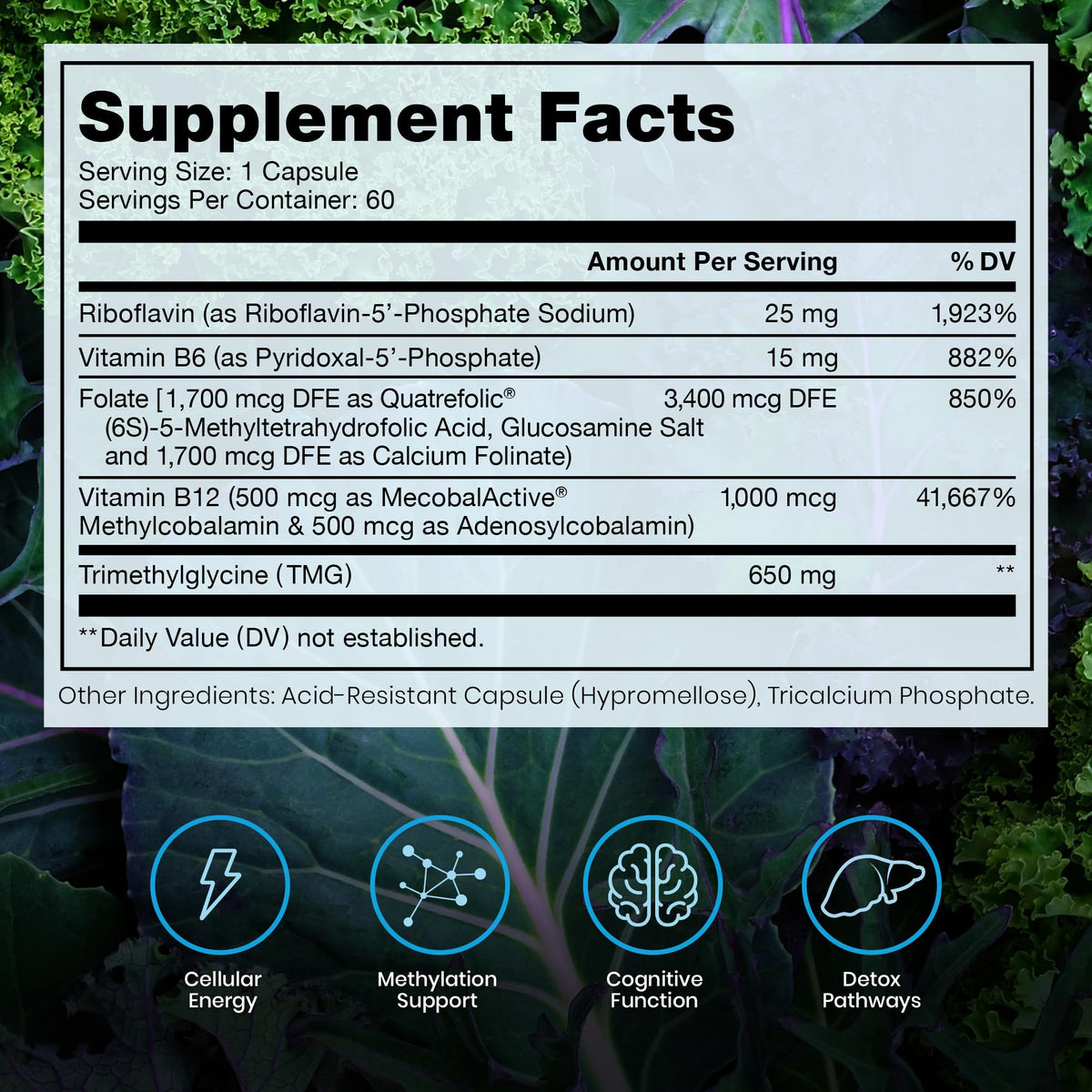 Methylated B Complex Vitamins, Made in USA, 2 Month Supply, Methyl B Complete Quatrefolic 5-MTHF Folate, B12 Methylcobalamin, TMG Trimethylglycine