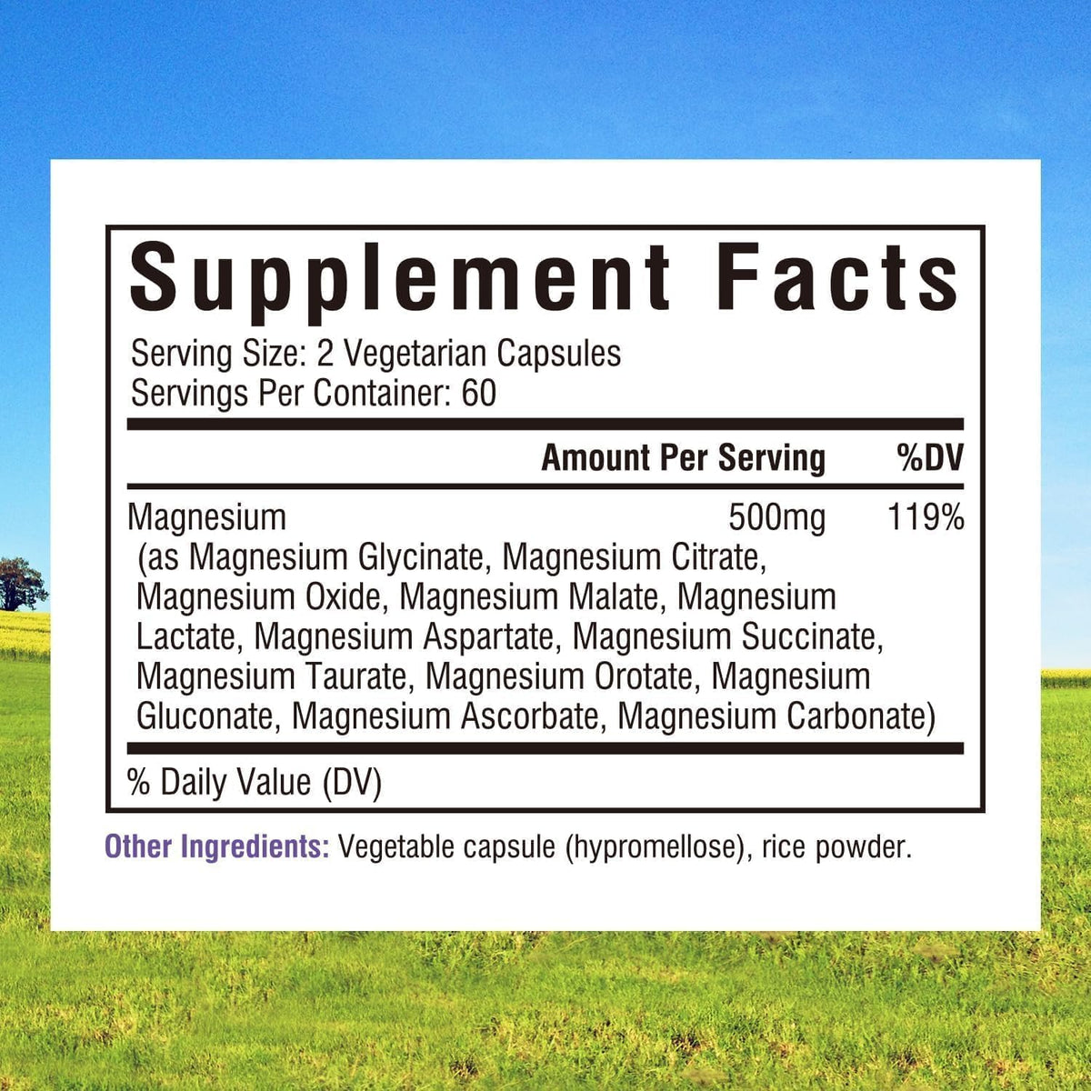 Innate Vitality 12-in-1 Magnesium Complex, 500 mg Elemental Mag, with Magnesium Glycinate Malate Taurate Aspartate & More, Non-GMO, for Nerves, Sleep, Heart, Energy, 120 Veg Caps Innate Vitality buy supplements Au