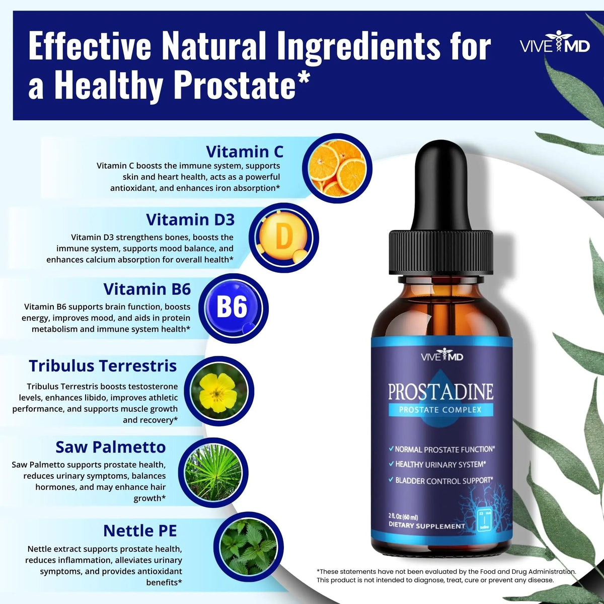 VIVE MD Prostadine Drops for Prostate Health, Bladder Urinating Issues - Prostadine Official Drop Formula - Extra Strength with Pomegranate, Prostadine Reviews (Package of 5) VIVE MDBuy Supplements Australia