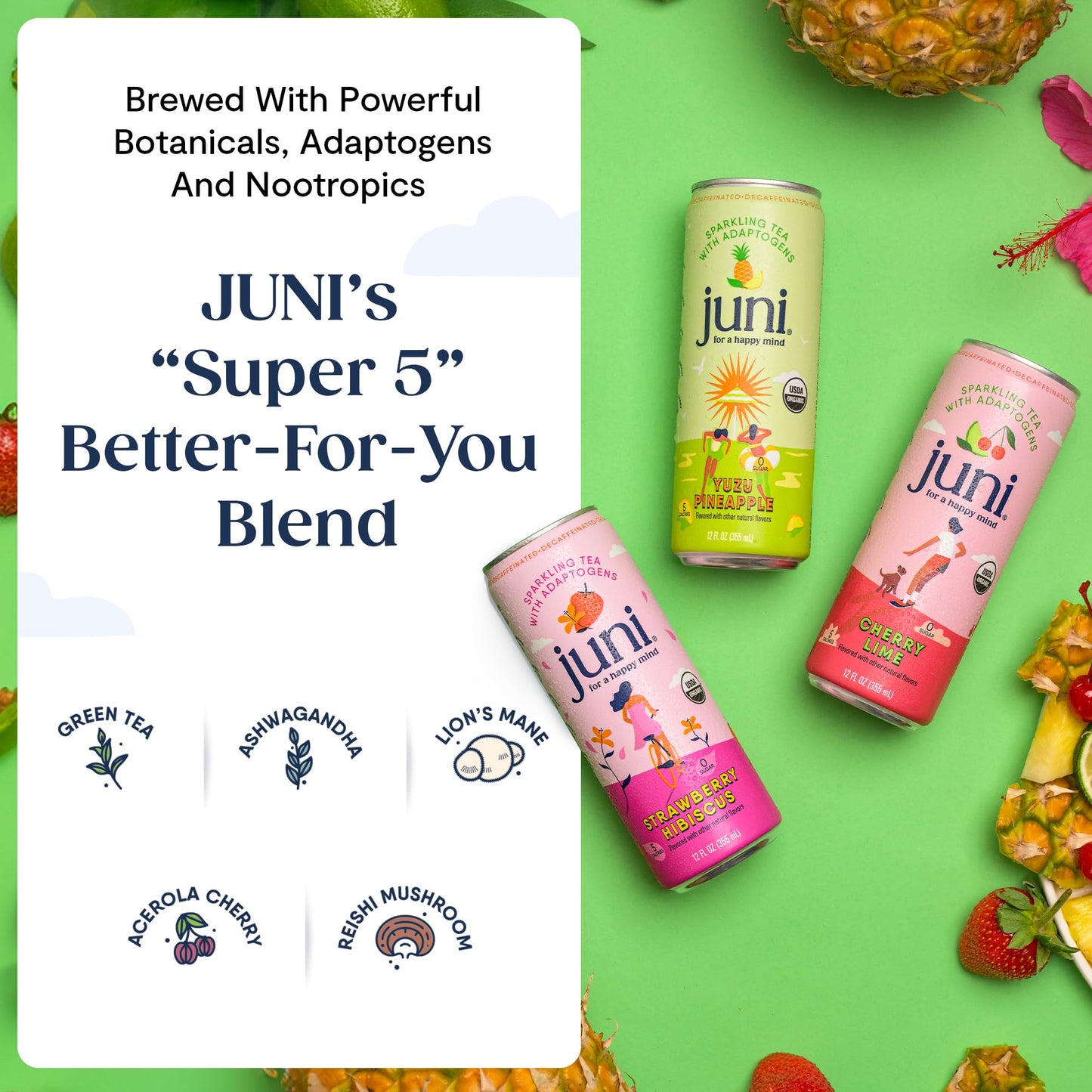 Juni Sparkling Adaptogen Drink with Ashwagandha, Lion’s Mane & Reishi Mushrooms | Green Tea for Focus, Zero Sugar, 5 Calories | Decaffeinated, Non Alcoholic Drinks - Strawberry Hibiscus 12 pack JUNI buy supplements Au