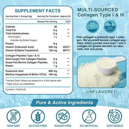 NATURE TARGET Marine Collagen Peptides Powder - Type I & III Collagen with Probiotics, Vitamin C & Hyaluronic Acid for Skin, Hair, Nails